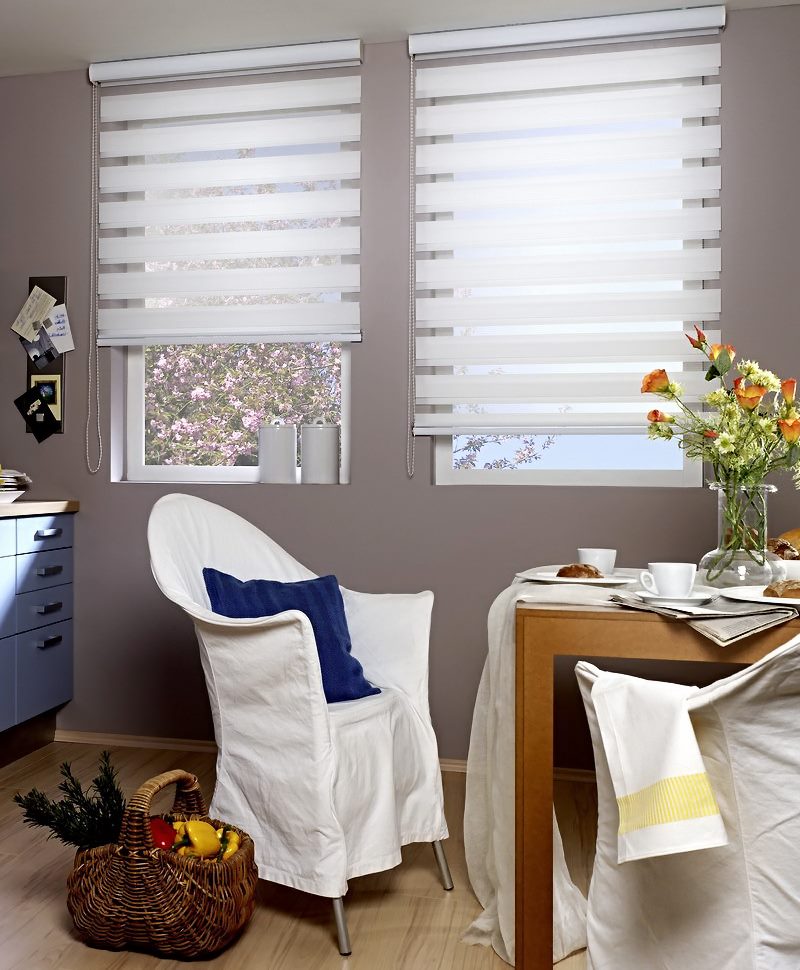 Design of plastic windows with day-night blinds