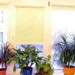 Hushållsplanter på en plast fönsterbrädan