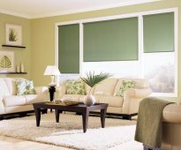 Tmavě zelené žaluzie pro obývací pokoj