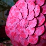 Pink flower cushion for decor