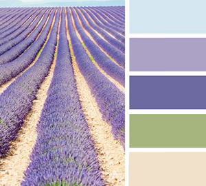 Renk yelpazesi Provence