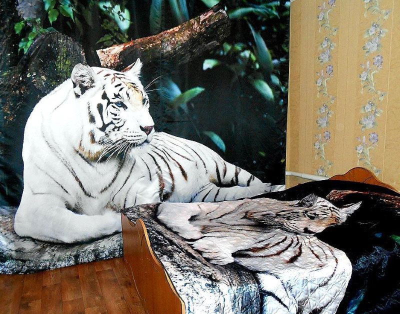 Biały tygrys na kurtynie 3D we wnętrzu prawdziwej sypialni