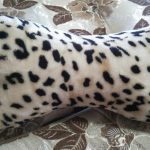 Leopardo kaklo pagalvė