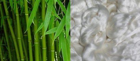 Bamboo and bamboo fiber