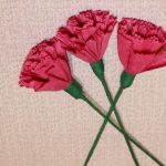 DIY carnations