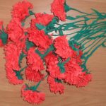 napkin carnations