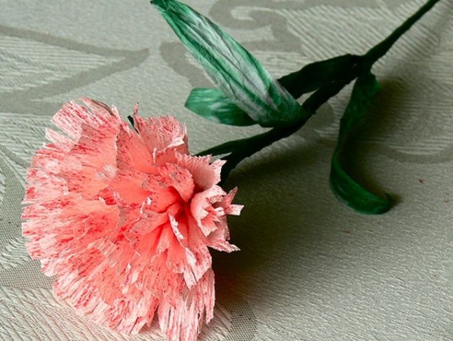 Mga carnation mula sa napkin dekorasyon larawan