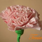 carnations mula sa mga opsyon na do-it-yourself napkin