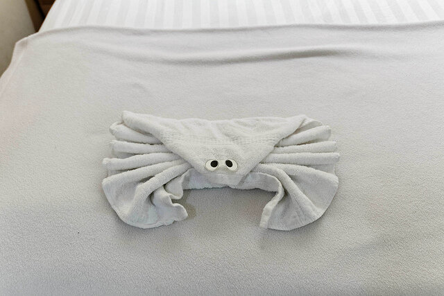towel crab