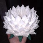 balta lotoso servetėlė