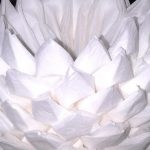 lotus av servetter design foto