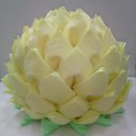 foto ukras lotosa