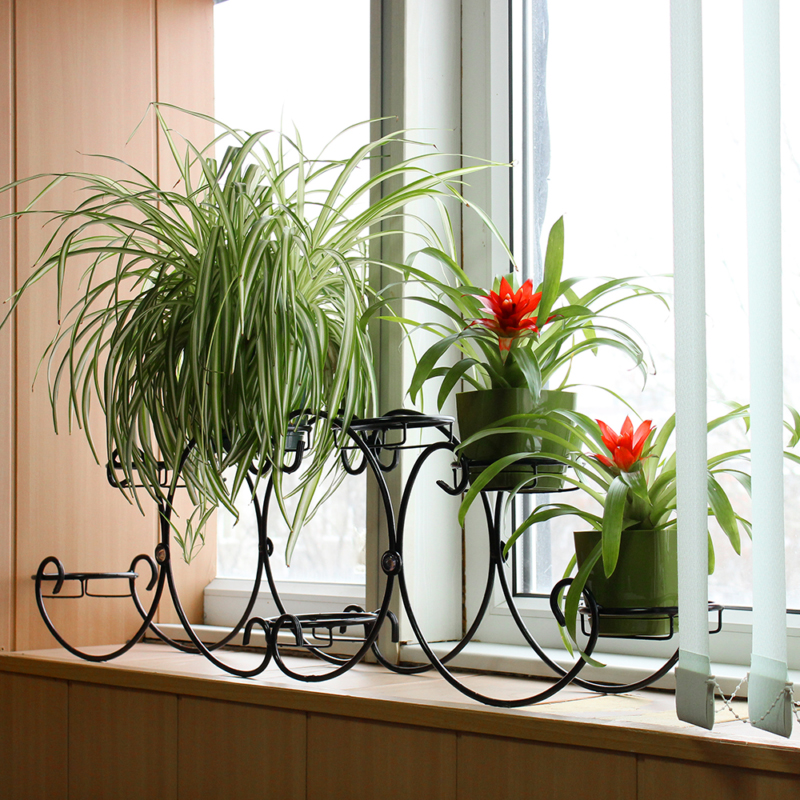 stalak za cvijeće na prozorskoj dasci