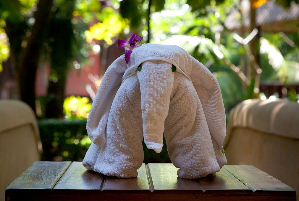 elephant from a towel
