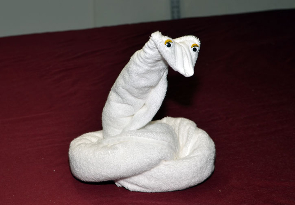 towel snake