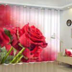 here curtains idea review