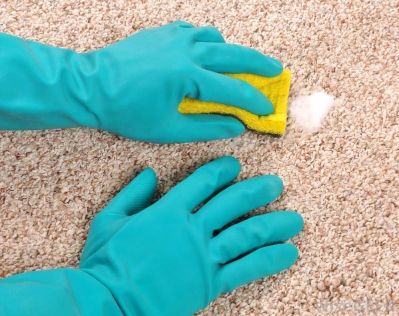 how to remove a urine stain from the carpet