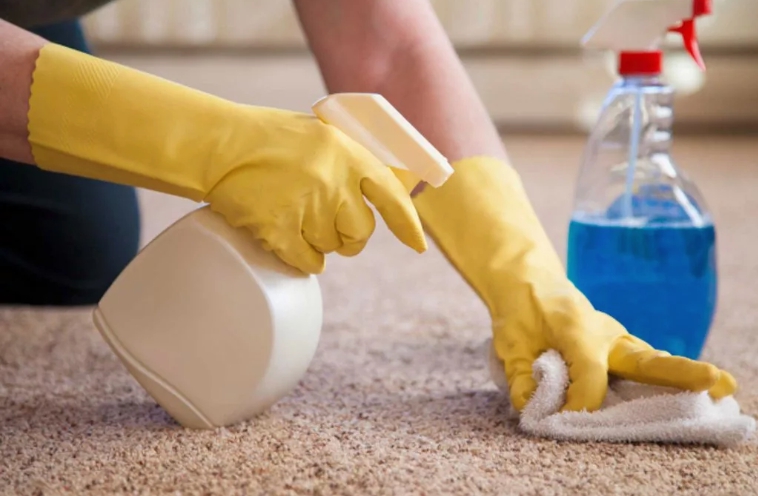 jak usunąć plamę moczu na dywanie