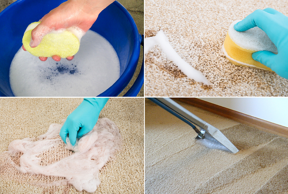 how to remove the urine stain from the carpet