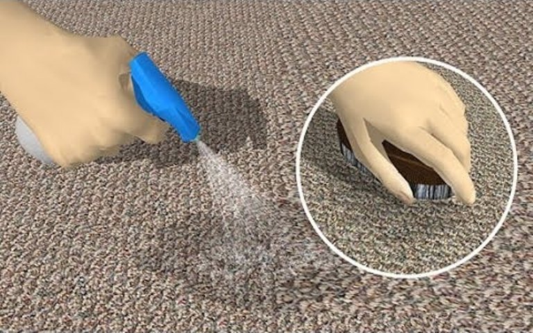 get rid of cat urine smell on carpet