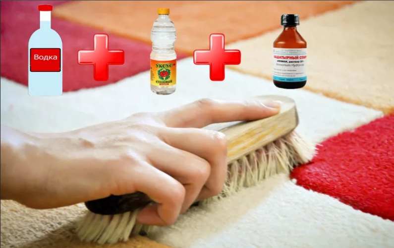 kako se riješiti mirisa mokraće mokraće na tepihu