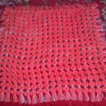 coral plaid of pompons