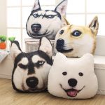 pillow dog photo ideas