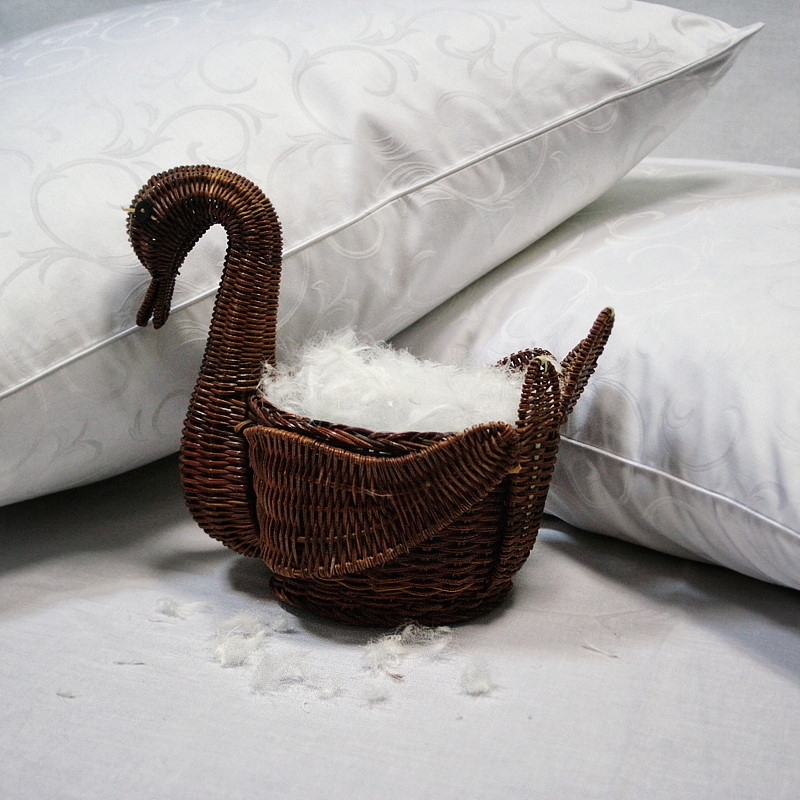 swan down pillows