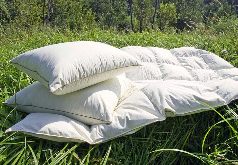kuğu kabartmalı havalandırmanın yastıkları