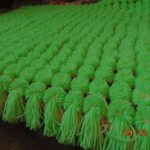 lime tæppe af pomponer