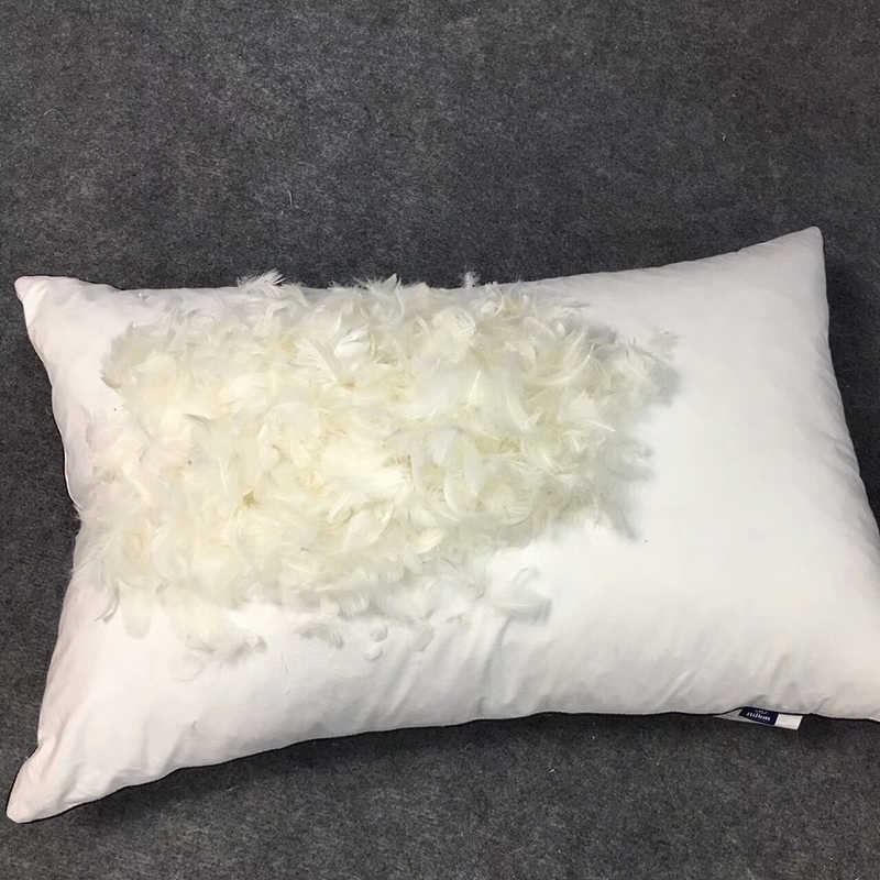natural feather pillows